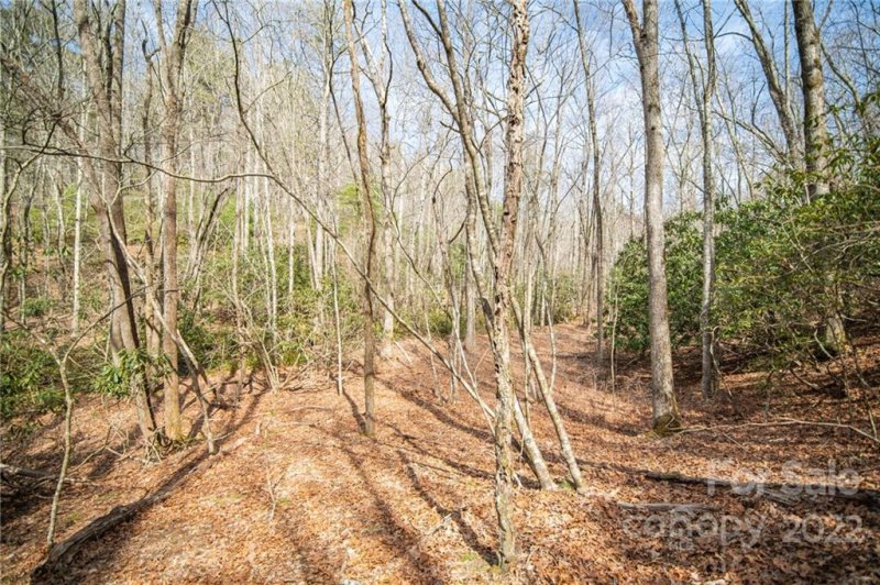 Property image 5 at 0 Steel Creek Road, Brevard, NC 28712