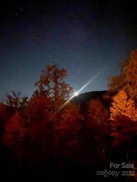 Property image 5 at 20 Wedgewood Terrace, Black Mountain, NC 28711