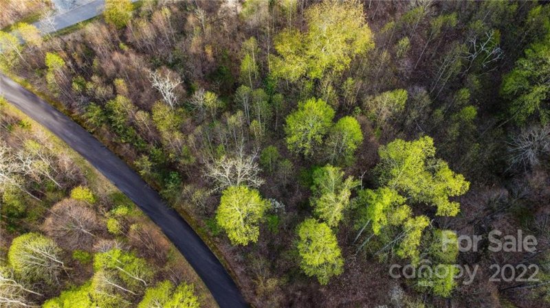 Property image 2 at 12 Early Spring Way, Leicester, NC 28748