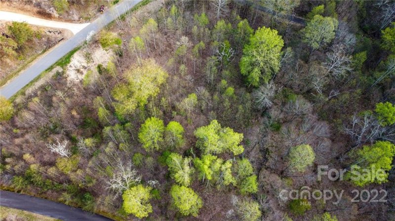 Property image 3 at 12 Early Spring Way, Leicester, NC 28748