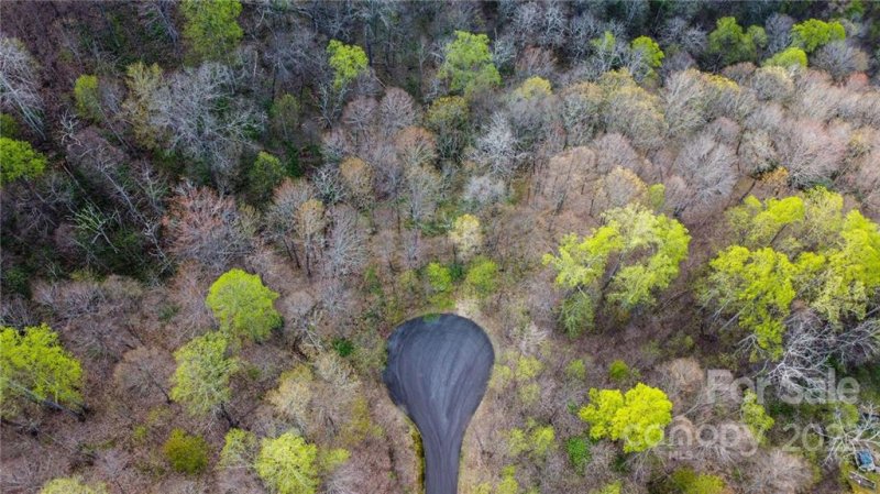 Property image 4 at 12 Early Spring Way, Leicester, NC 28748