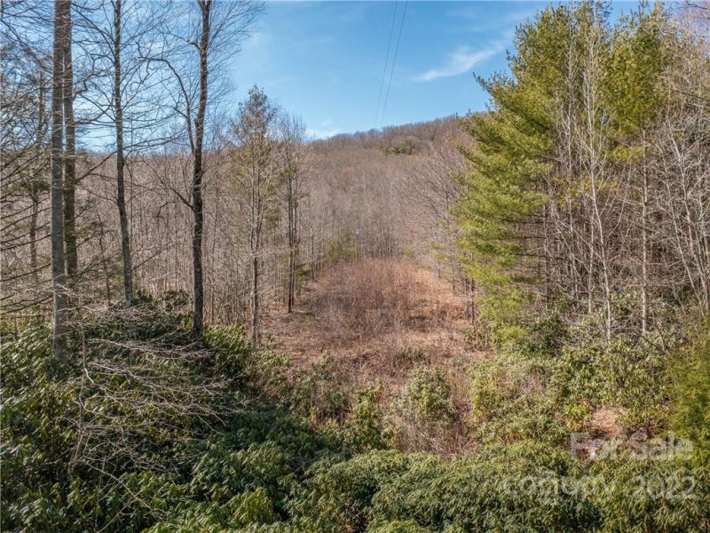 155 Bear Den Mountain View