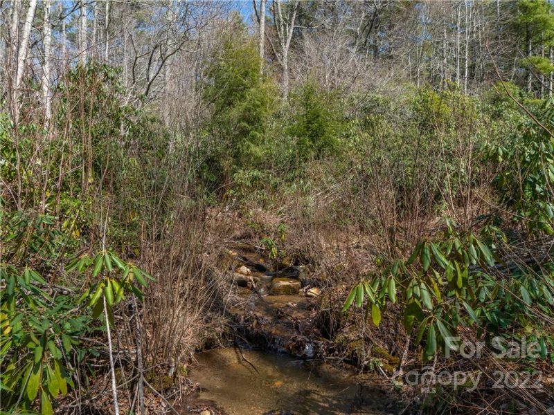 Property image 3 at 155 Bear Den Mountain View, Spruce Pine, NC 28777