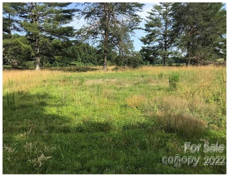 Property image 2 at 1521 Club Road, Tryon, NC 28782