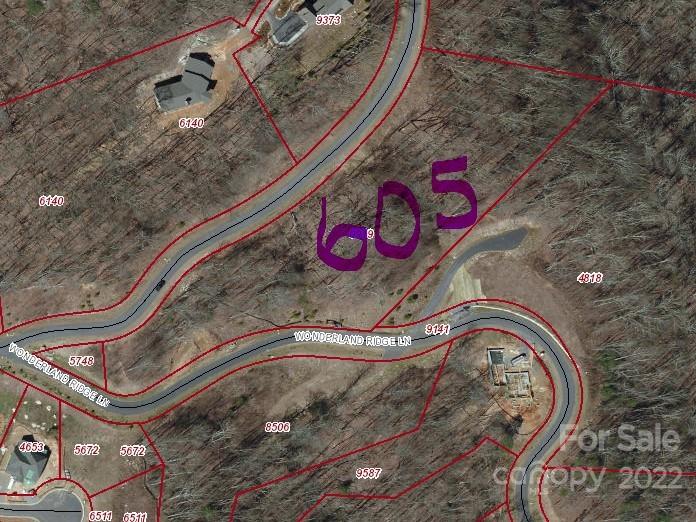 Property image 2 at 99999 Southcliff Parkway, Fairview, NC 28730