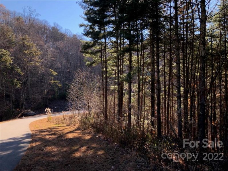 Property image 2 at 47 Tallwood Road, Leicester, NC 28748