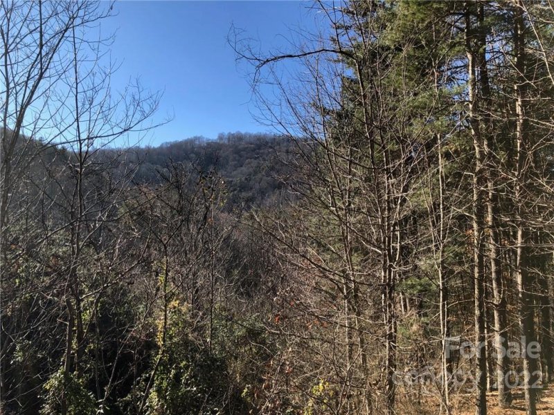 Property image 3 at 47 Tallwood Road, Leicester, NC 28748