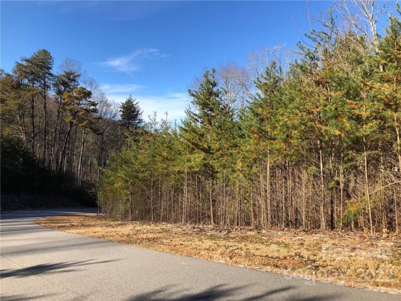 Property image 4 at 47 Tallwood Road, Leicester, NC 28748