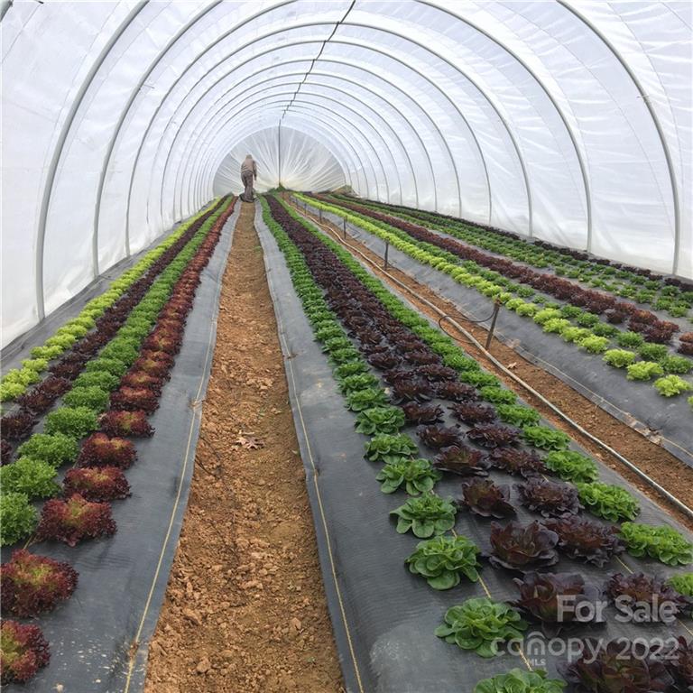 Property image 3 at 202 Westridge Farm Road, Asheville, NC 28804