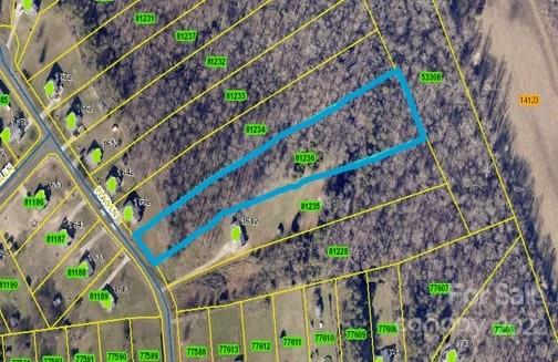 Property image 4 at 0000 Flag Lane, Vale, NC 28168