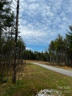 Property image 4 at V L Pine Ridge Drive, Nebo, NC 28761