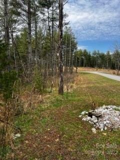 Property image 5 at V L Pine Ridge Drive, Nebo, NC 28761