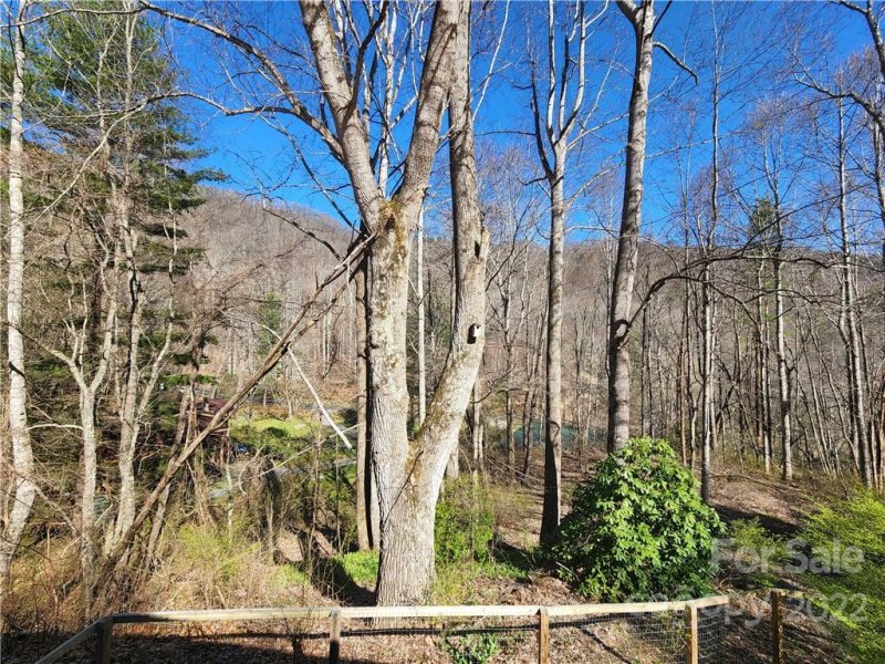 Property image 4 at 71 Apple Creek Road, Waynesville, NC 28786