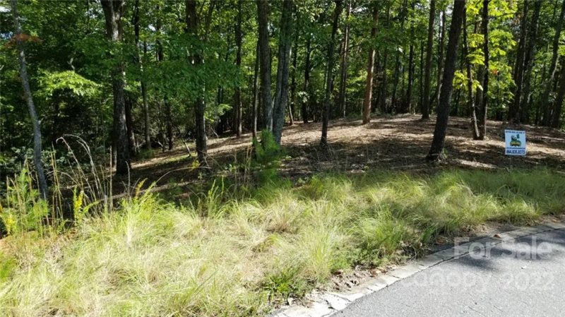 Property image 2 at 3 Fire Tower Road, Bostic, NC 28018