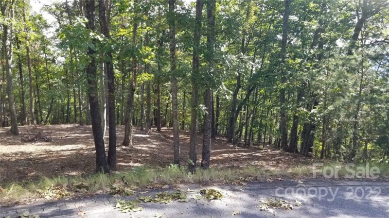 Property image 3 at 3 Fire Tower Road, Bostic, NC 28018