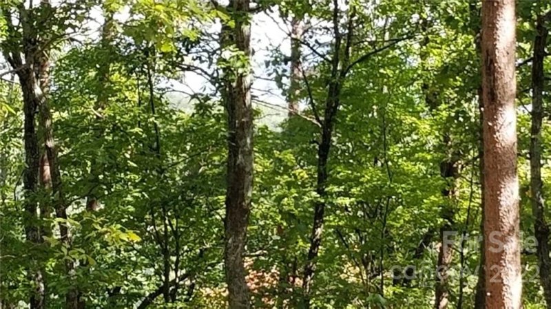 Property image 4 at 3 Fire Tower Road, Bostic, NC 28018