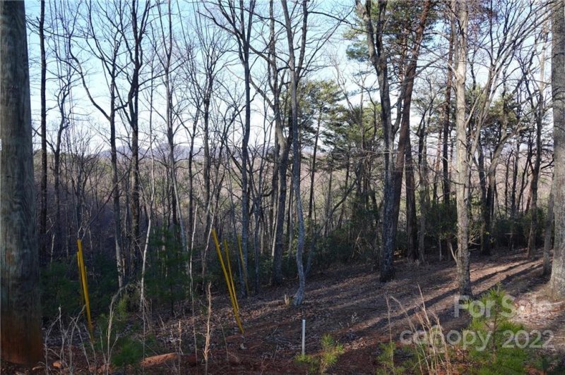 Property image 5 at 3 Fire Tower Road, Bostic, NC 28018