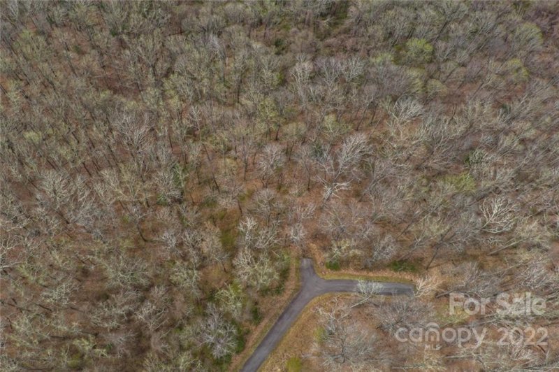 Property image 5 at 150 Old Forest Drive, Asheville, NC 28803