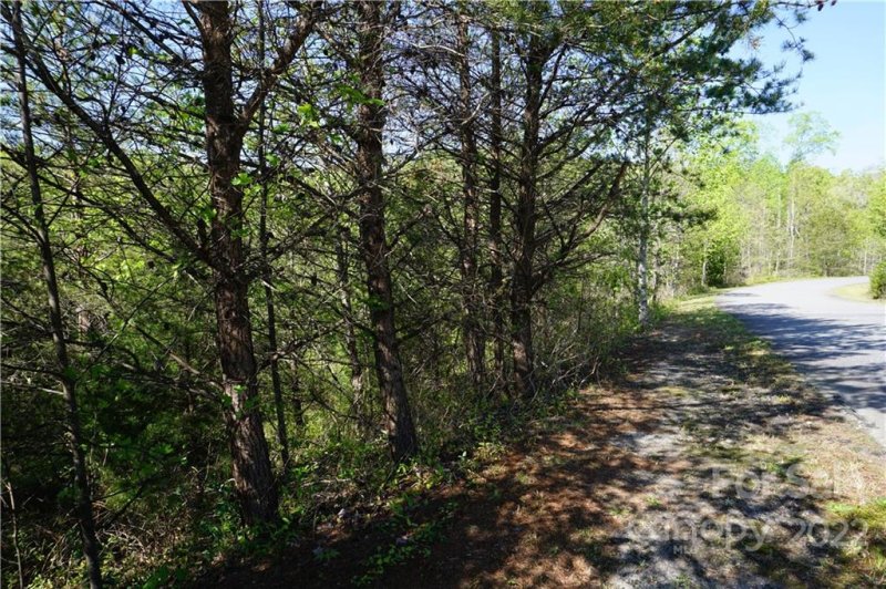 Property image 4 at Lot 45 Brookside Parkway, Lake Lure, NC 28150