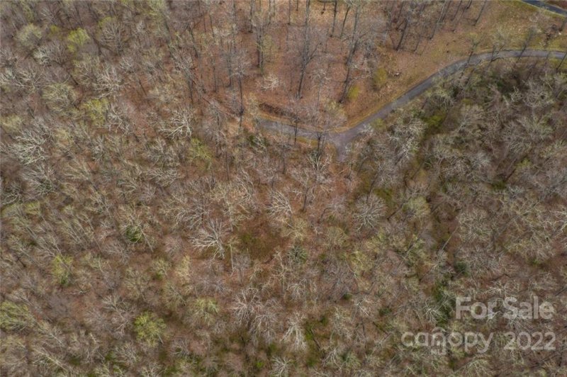 Property image 5 at 99999 3c Old Forest Drive, Asheville, NC 28803