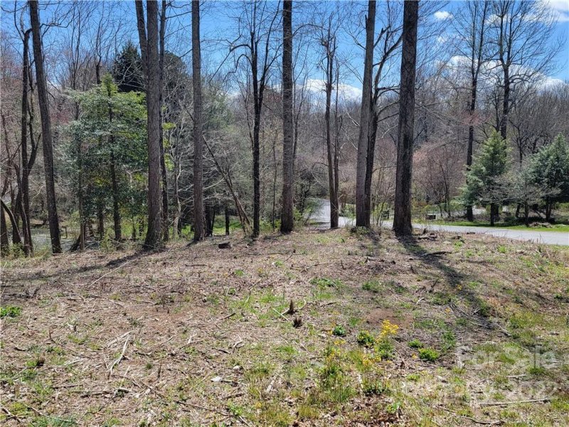 Property image 4 at 0000 Fawn Turn Lane, Hendersonville, NC 28739