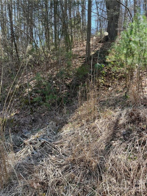 Property image 3 at 00 Running Deer Nw Running Deer Lane, Mars Hill, NC 28754