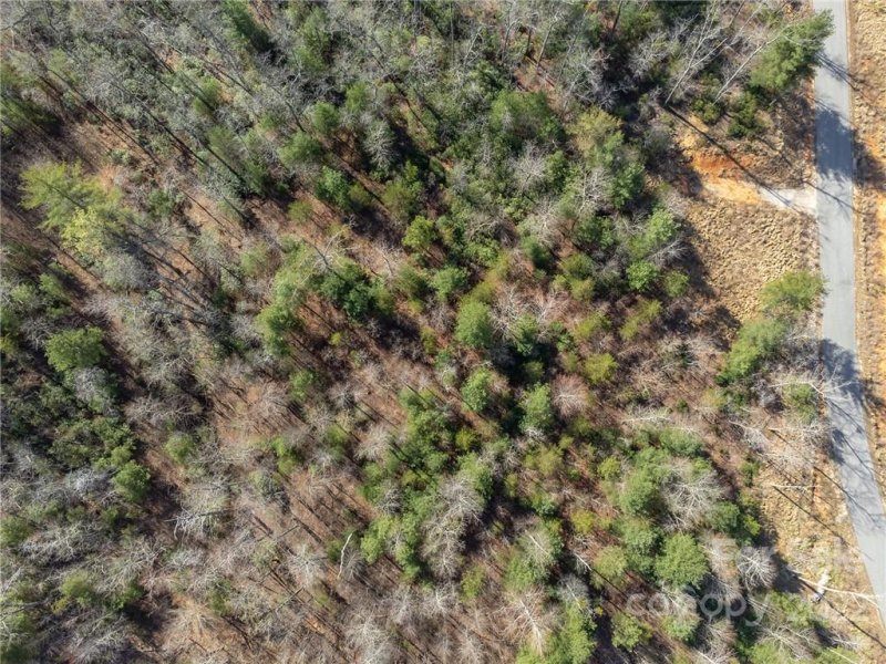 Property image 3 at V L Ridge Point Road, Nebo, NC 28761