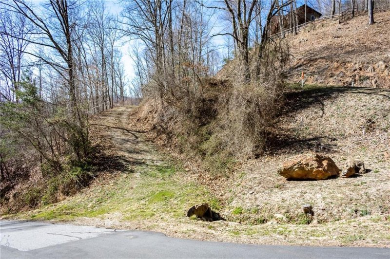 Property image 2 at Lot 1 Blake Drive, Canton, NC 28716