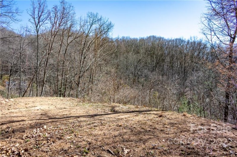 Property image 3 at Lot 1 Blake Drive, Canton, NC 28716