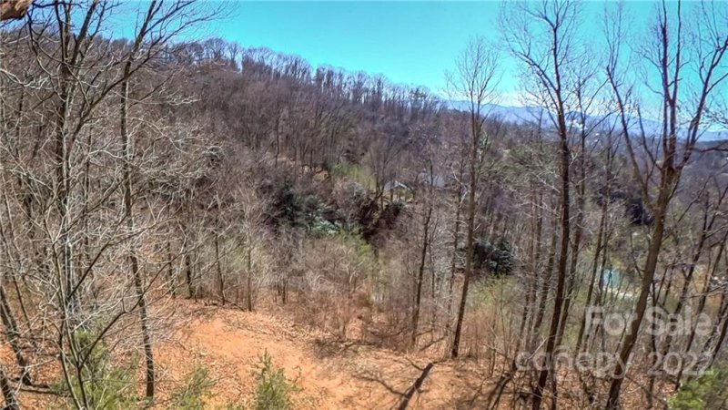 Property image 5 at Lot 1 Blake Drive, Canton, NC 28716