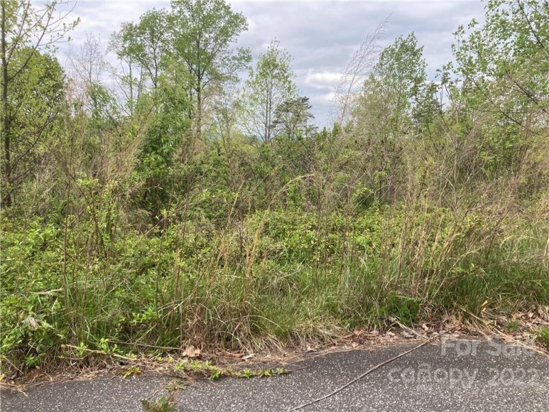 Property image 2 at V L Horseshoe Trail, Connelly Springs, NC 28612