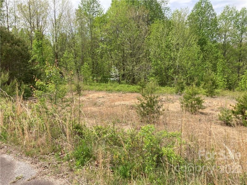 Property image 3 at V L Cowtail Lane, Connelly Springs, NC 28612