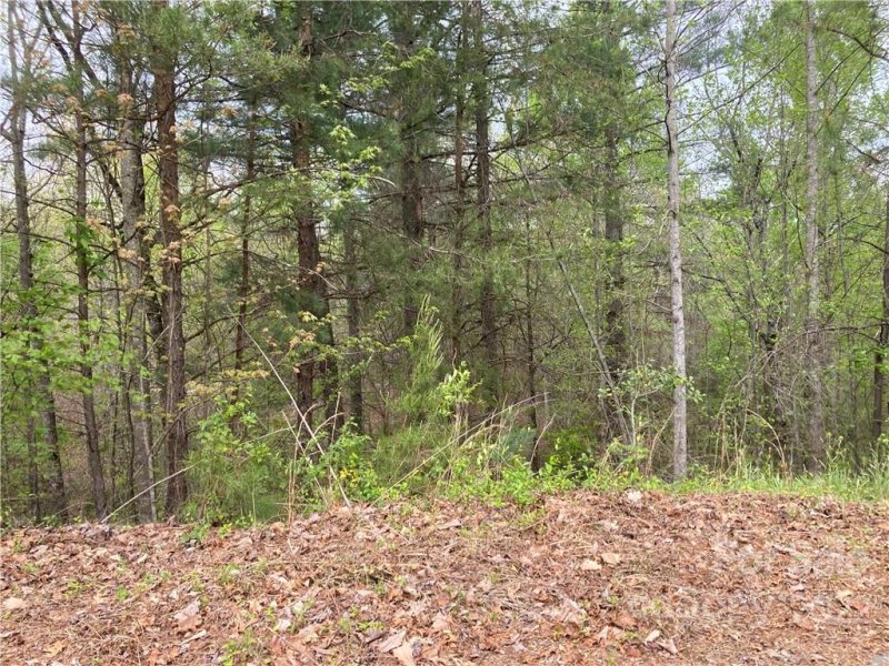 Property image 2 at V L Horseshoe Trail, Connelly Springs, NC 28612