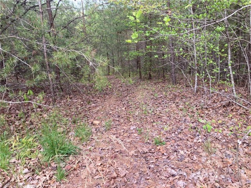 Property image 2 at 7485 Virginia Road, Connelly Springs, NC 28612