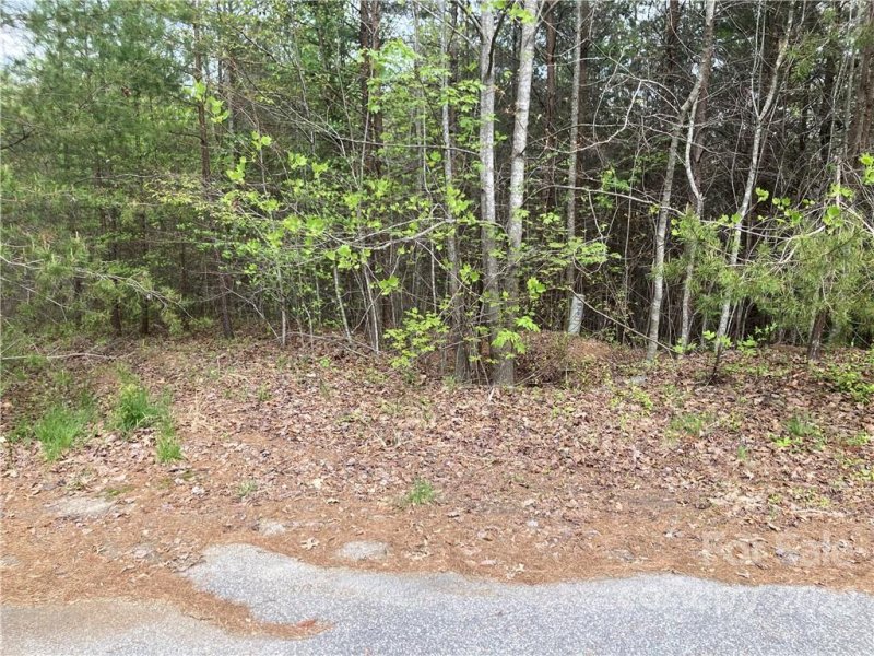 Property image 3 at 7485 Virginia Road, Connelly Springs, NC 28612