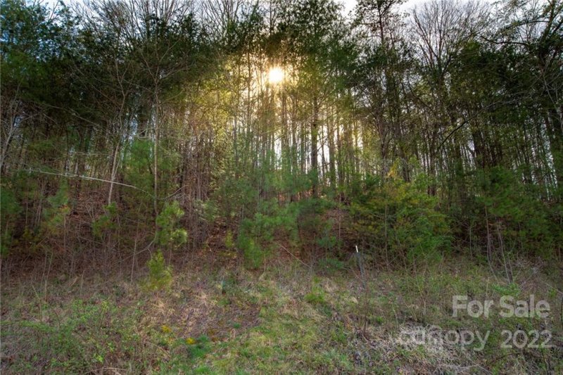 Property image 3 at 108 Israel Road, Leicester, NC 28748