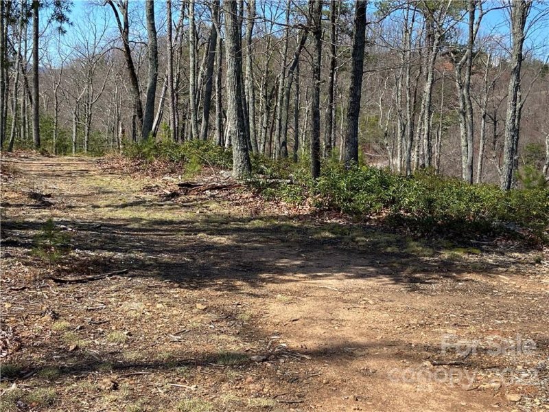 Property image 5 at 132 Windswept Pass, Lake Lure, NC 28746