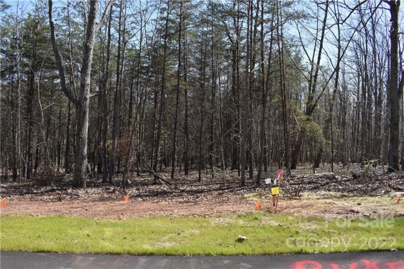 Property image 2 at 309 Spanish Oak Lane, Gastonia, NC 28056