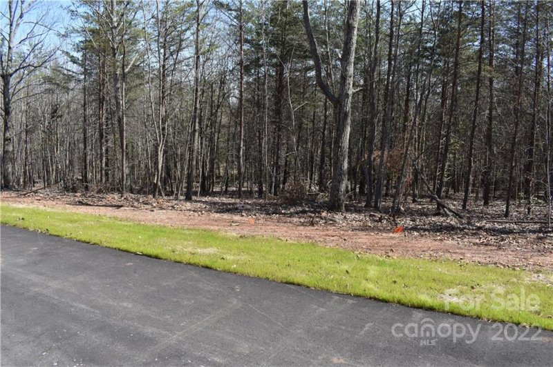 Property image 3 at 309 Spanish Oak Lane, Gastonia, NC 28056