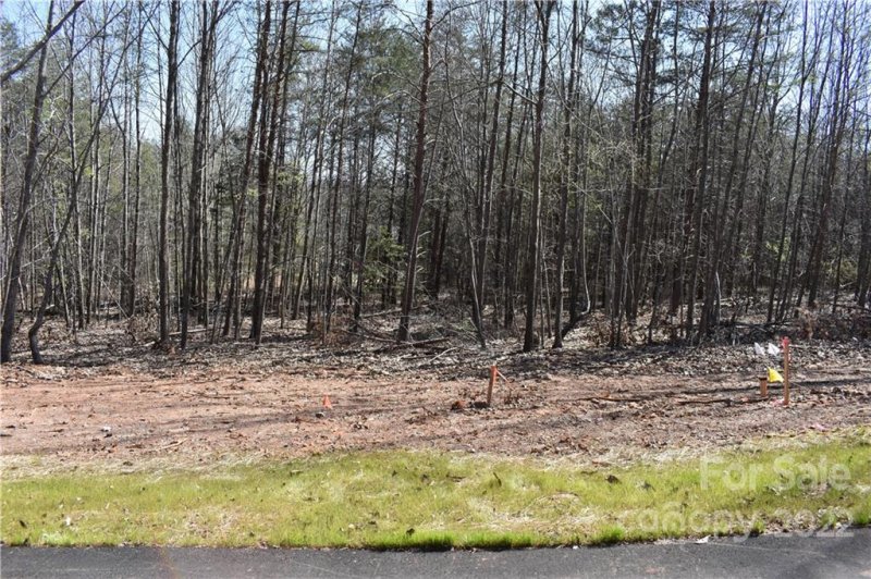 Property image 2 at 307 Spanish Oak Lane, Gastonia, NC 28056