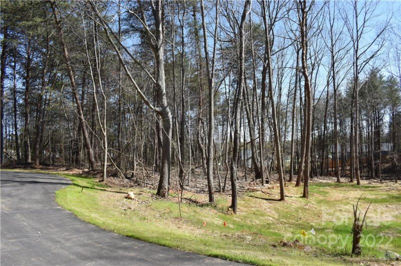 Property image 4 at 303 Spanish Oak Lane, Gastonia, NC 28056