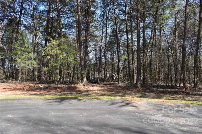 Property image 3 at 301 Spanish Oak Lane, Gastonia, NC 28056