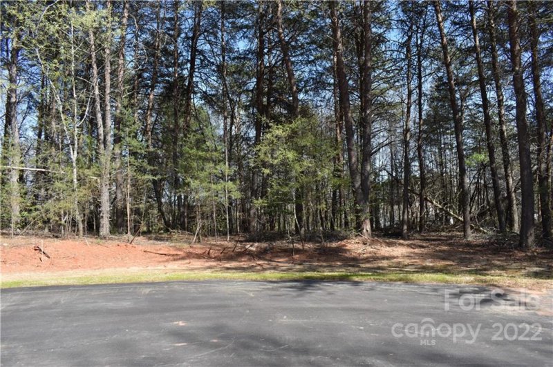 Property image 4 at 301 Spanish Oak Lane, Gastonia, NC 28056