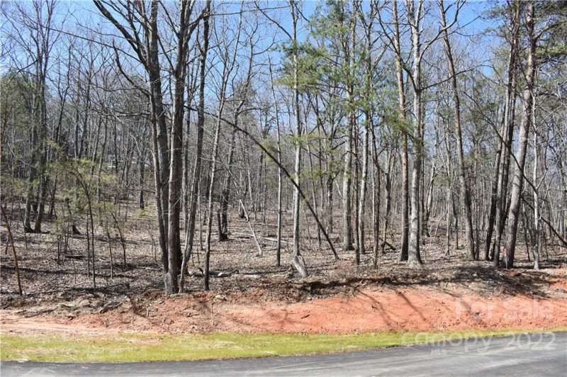 Property image 3 at 302 Spanish Oak Lane, Gastonia, NC 28056