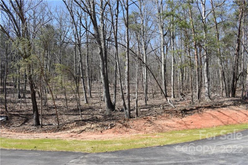 Property image 5 at 302 Spanish Oak Lane, Gastonia, NC 28056