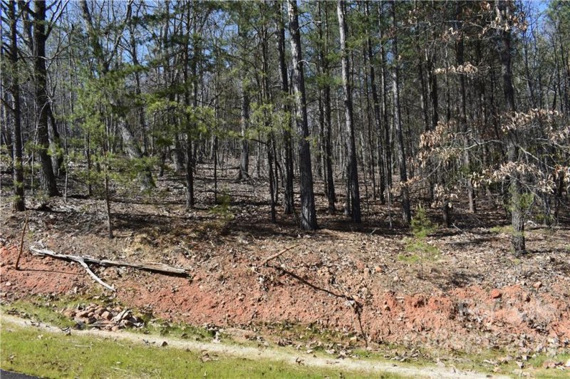 Property image 3 at 306 Spanish Oak Lane, Gastonia, NC 28056