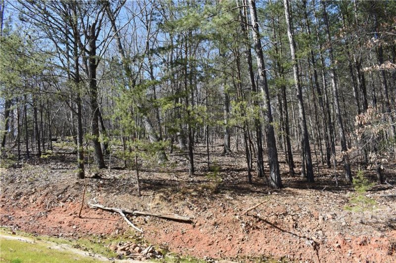 Property image 5 at 306 Spanish Oak Lane, Gastonia, NC 28056