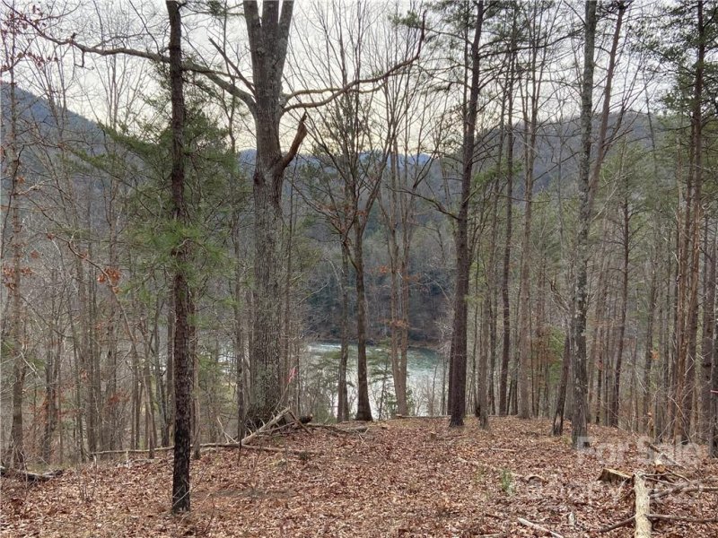 Property image 2 at 3670 French Broad Parkway, Marshall, NC 28753