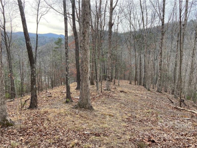 Property image 3 at 3670 French Broad Parkway, Marshall, NC 28753