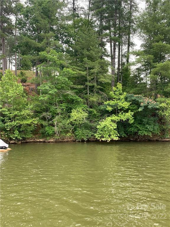 Property image 5 at 5006 Winterberry Court, Valdese, NC 28690